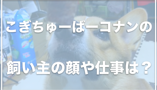 こぎちゅーばーコナンの飼い主の顔は？仕事は何をしているの？