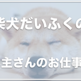 柴犬だいふくの飼い主の顔や仕事は？YouTubeやブログが更新されない？