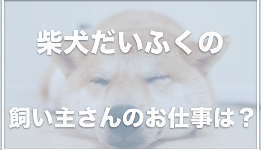 柴犬だいふくの飼い主の顔や仕事は？YouTubeやブログが更新されない？