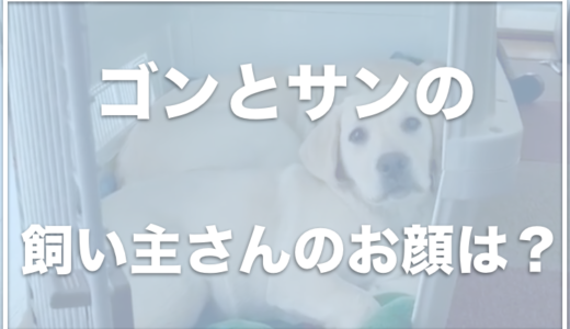 ラブラドールレトリバー・ゴンとサンの飼い主の顔は？お金持ちなの？