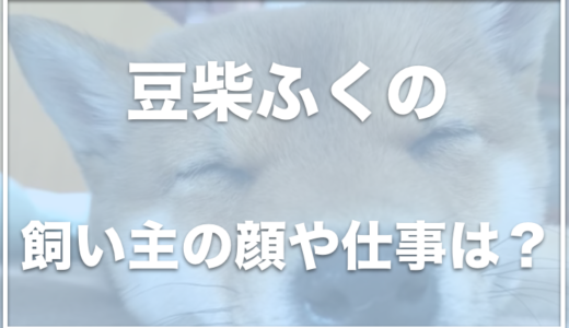 豆柴ふくの飼い主の顔やお仕事は？ドギーボックスで大興奮！？