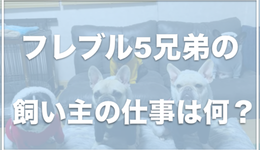 フレブル5兄弟の飼い主(パパさん)の顔は？仕事は何をしているの？