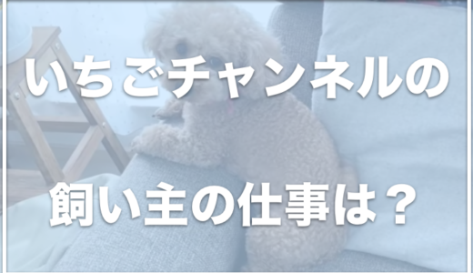 いちごチャンネルの飼い主は5人家族で顔出ししているの？仕事は何？