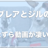 おしりのつむじのブレアとジルの飼い主の顔は？仕事は何なのか調査！