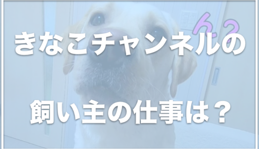 きなこチャンネルの飼い主は顔出ししているの？仕事は何か調査！