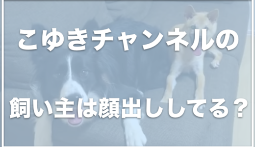 こゆきチャンネルの飼い主の顔とお仕事は？保護犬活動中なの？