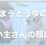 まうとうゆの飼い主(ママさん)の顔や仕事は？病気で手術＆入院も？