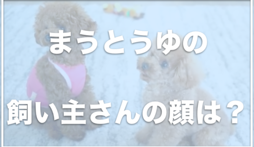 まうとうゆの飼い主(ママさん)の顔や仕事は？病気で手術＆入院も？