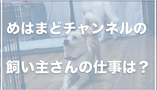 めはまどチャンネルの飼い主の顔や仕事は？偽善者との批判も？