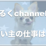 チワワのみるくchannelの飼い主の名前は『まさ』？顔や仕事を調査！