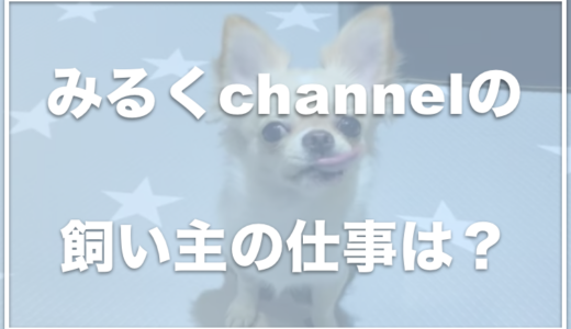 チワワのみるくchannelの飼い主の名前は『まさ』？顔や仕事を調査！