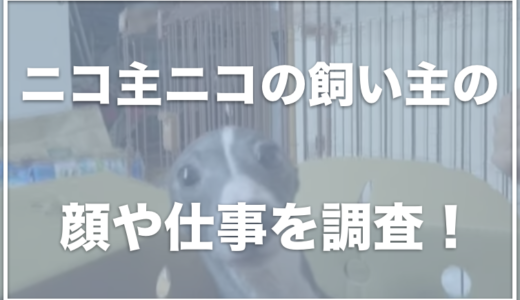 ニコ主ニコの飼い主の顔は？仕事は何をしているのかも調査！