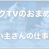 パグTV(おまめ日記)の飼い主の顔と仕事は？警察沙汰で問題に！？