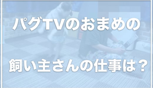 パグTV(おまめ日記)の飼い主の顔と仕事は？警察沙汰で問題に！？