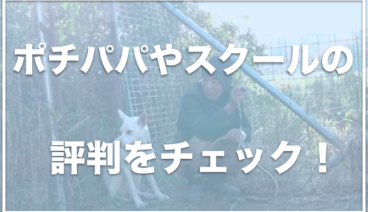 ポチパパに批判や誹謗中傷が殺到！？高木さんとは夫婦？結婚してるかチェック！