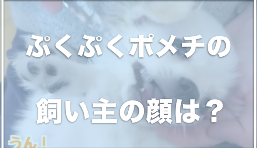 ぷくぷくポメチの福ちゃんの飼い主(みかとここ)の顔は？仕事はYouTuber！？