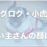 パグログ(小虎)の飼い主の顔や仕事は？岡山県に住んでいるの？