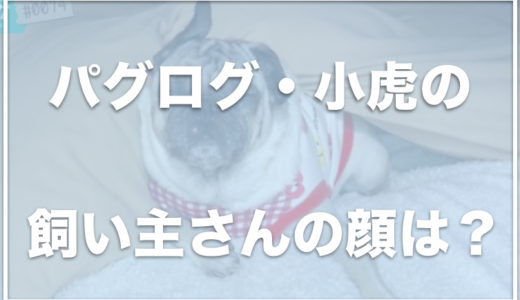 パグログ(小虎)の飼い主の顔や仕事は？岡山県に住んでいるの？