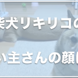 柴犬リキリコは保護犬？飼い主は顔出ししている？お仕事は何なのかも調査！