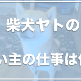 柴犬ヤト(ヤトと小太郎と子猫)の飼い主の顔は？仕事はなんなの？