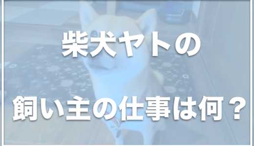 柴犬ヤト(ヤトと小太郎と子猫)の飼い主の顔は？仕事はなんなの？