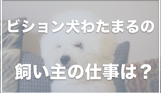 ビジョンフリーゼわたまるの飼い主の顔は？仕事は何をしているのか調査！