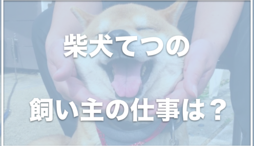 柴犬てつはどこに住んでいる？飼い主の顔やお仕事は？動物病院で人生終わった顔に！？