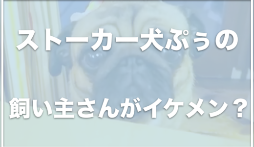 ストーカー犬ぷぅの飼い主・パパさんの顔がイケメン！？娘もいる？お仕事も調査！