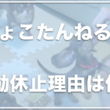 ちょこたんねるの飼い主の顔は？YouTubeを休止した理由は何？