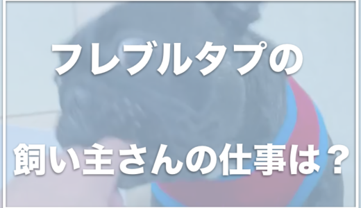 フレブルタプ(タプちゃんねる)の飼い主の顔と仕事は？3回も手術したって本当？