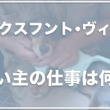 ミニチュアダックスフンド・ヴィンの飼い主は杉村拓也！仕事は何？妹も顔出ししてる？