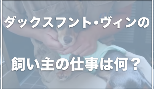 ミニチュアダックスフンド・ヴィンの飼い主は杉村拓也！仕事は何？妹も顔出ししてる？