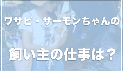 チワワのワサビちゃんとサーモンちゃんの飼い主はタイ在住？顔出ししてるの？