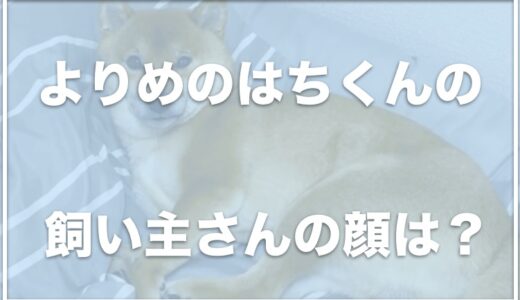 寄り目のはちくんの引っ越し理由は何？飼い主の仕事や顔は？アンチがいるかどうかも調査！