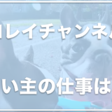 ゼロレイチャンネルの飼い主は顔出ししている？仕事はペット関連？