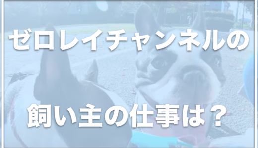 ゼロレイチャンネルの飼い主は顔出ししている？仕事はペット関連？