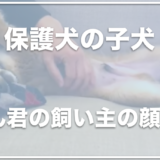 保護犬の子犬だん君の飼い主(らいげん)の顔や仕事は？子供もいる？