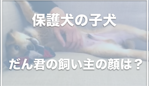 保護犬の子犬だん君の飼い主(らいげん)の顔や仕事は？子供もいる？