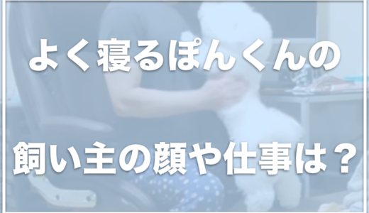 ビションフリーゼぽんくんの飼い主の顔は？仕事は何をしているの？