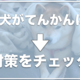 犬をてんかんの群発発作で死亡させない！前兆や発作の後遺症が出ないための対策をチェック！