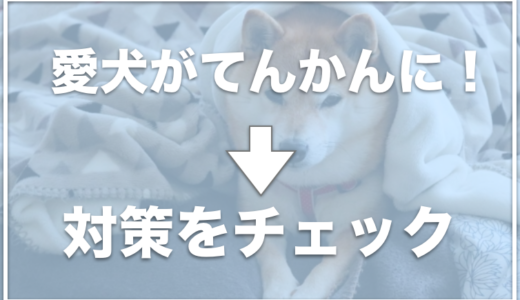 犬をてんかんの群発発作で死亡させない！前兆や発作の後遺症が出ないための対策をチェック！