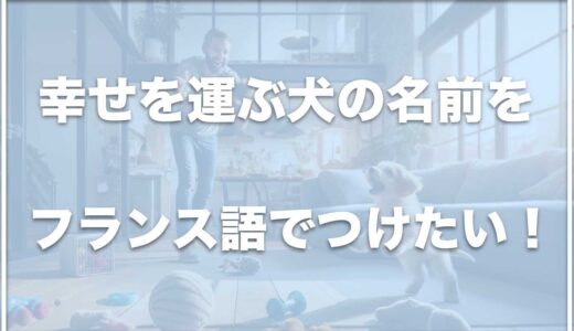 幸せを運ぶ犬の名前をフランス語でつけたい！縁起のいい名前をペットに命名して風水も上昇！