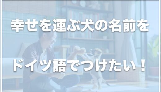 幸運を呼ぶ犬の名前はドイツ語ならコレ！おしゃれな犬の名前をドイツ語でつけたい人はチェック！