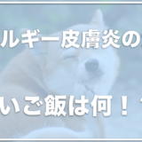 アレルギー皮膚炎用のドッグフードはコレ！皮膚ケアにおすすめの食べ物も調査！