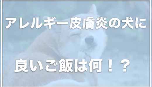 アレルギー皮膚炎用のドッグフードはコレ！皮膚ケアにおすすめの食べ物も調査！