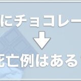 犬がチョコレートで死んだ死亡例はある？食べたけど少量なら大丈夫は嘘？後遺症があるかについても調査！