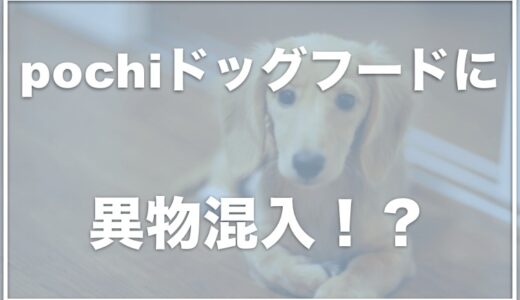 pochiドッグフードに異物混入が発覚！？口コミや評判をチェック！