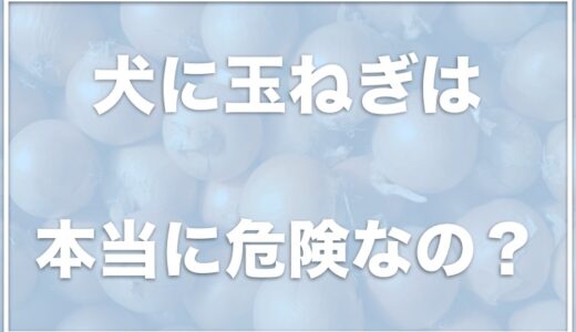 犬は玉ねぎで死んだ例はある？致死量は？食べてしまったけど少量なら大丈夫かも調査！