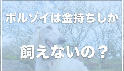 ボルゾイがかわいそうと言われる理由は？金持ちしか飼えないって本当？噛むから危ないのか・似てる犬もチェック！