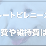 グレートピレニーズの食費は？室内飼いは大変？子犬の値段も調査！